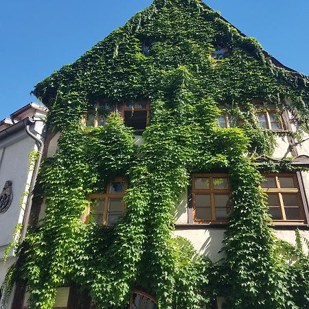 Ferienwohnung Am Erfurter Dom المظهر الخارجي الصورة