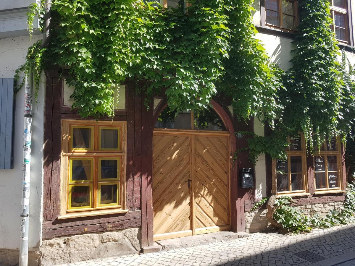 Ferienwohnung Am Erfurter Dom المظهر الخارجي الصورة